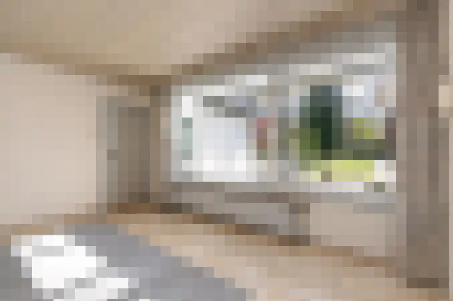 Papenbergseweg 9 Mook thumbnail 9