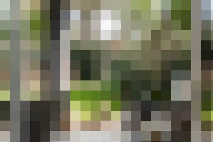 Papenburghlaan 4 Santpoort-Zuid thumbnail 10
