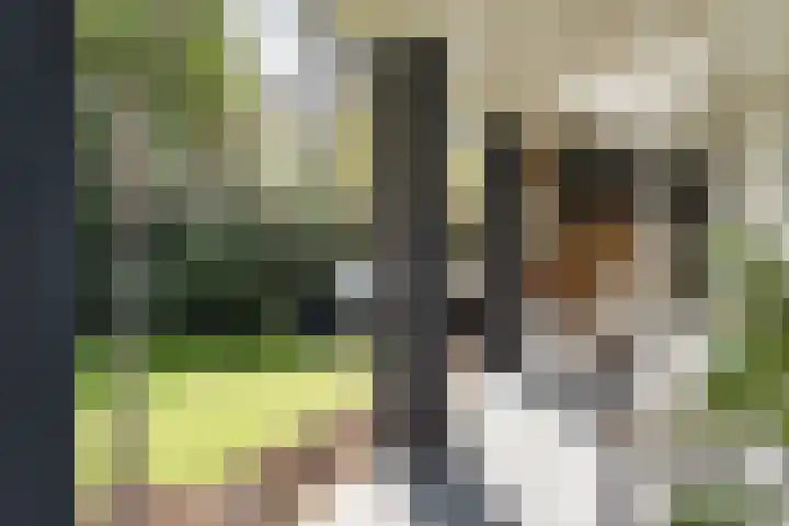 Papenburghlaan 4 Santpoort-Zuid thumbnail 12