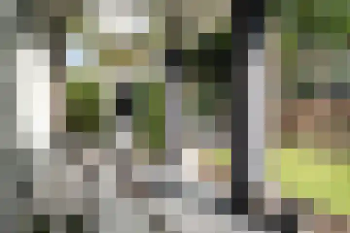 Papenburghlaan 4 Santpoort-Zuid thumbnail 4
