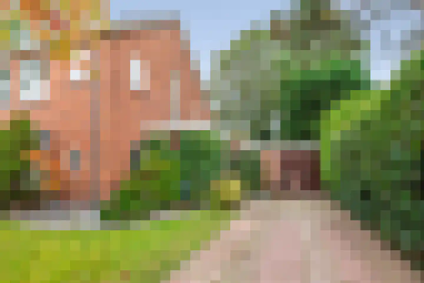 Papenburghlaan 5 Santpoort-Zuid thumbnail 40
