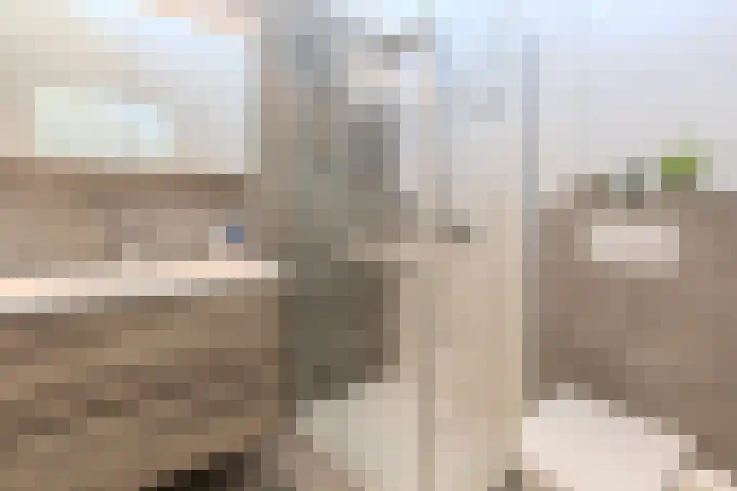 Papendaalstraat 5 Maastricht thumbnail 22