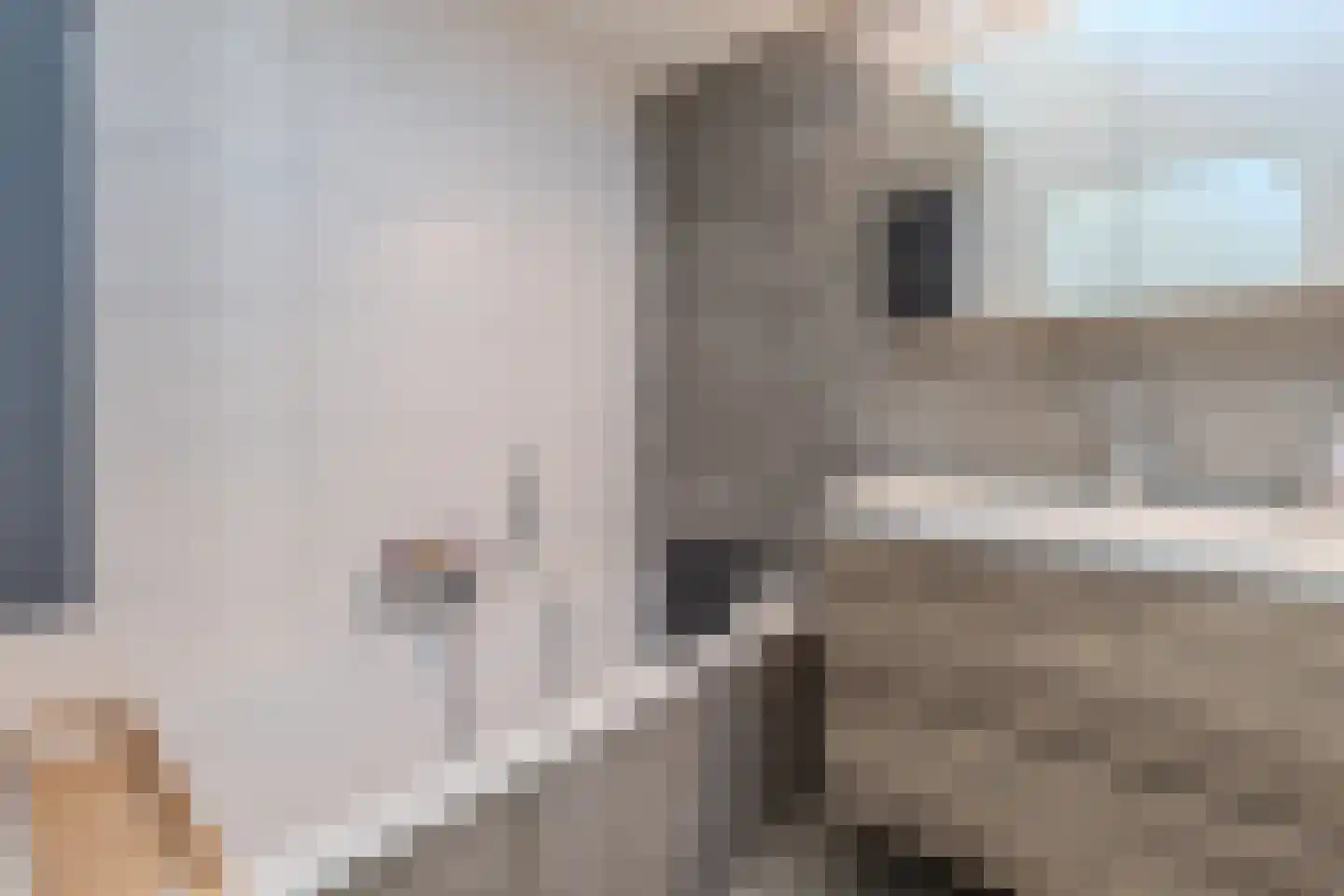 Papendaalstraat 5 Maastricht thumbnail 23