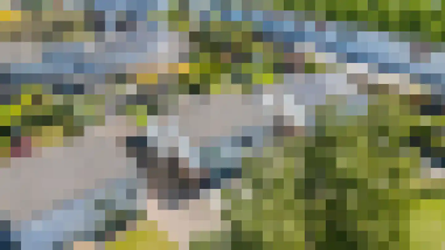Papendaalstraat 5 Maastricht thumbnail 31