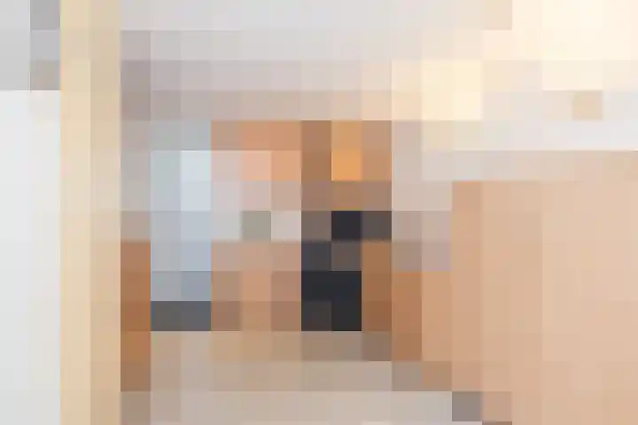 Papendel 13 Cadier en Keer thumbnail 12