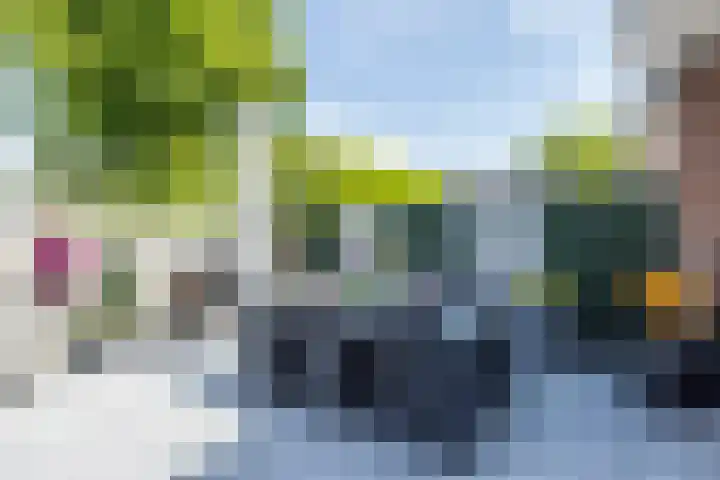 Papendel 13 Cadier en Keer thumbnail 23