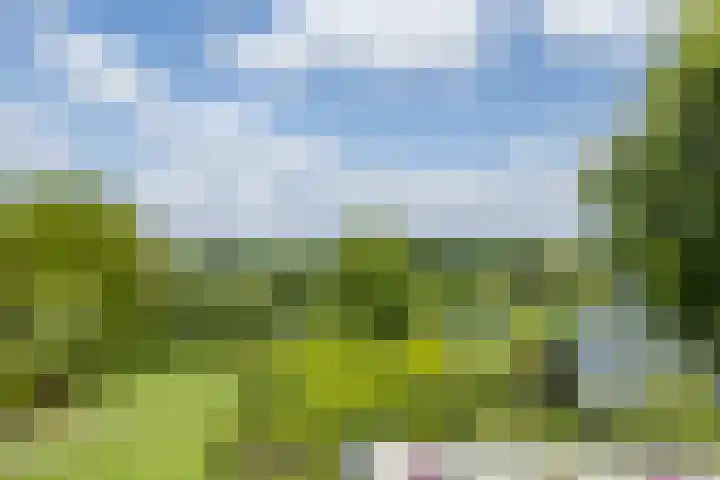Papendel 13 Cadier en Keer thumbnail 25