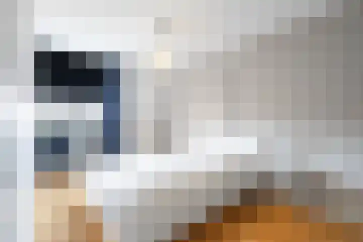 Papendel 26 Cadier en Keer thumbnail 12