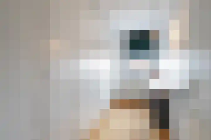 Papendel 26 Cadier en Keer thumbnail 13