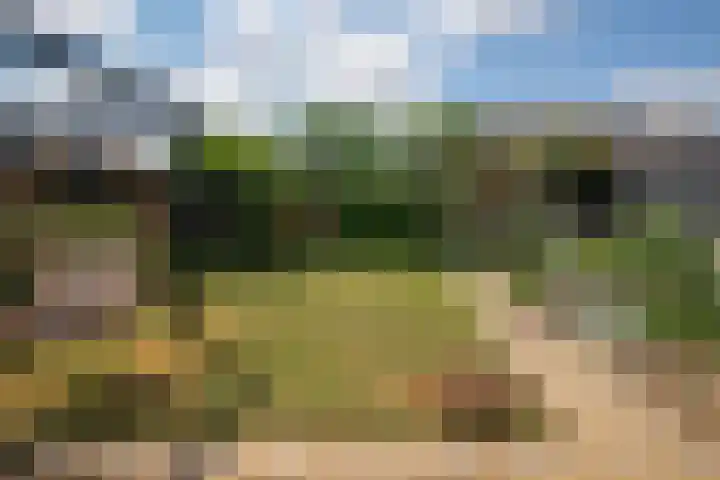 Papendel 26 Cadier en Keer thumbnail 21