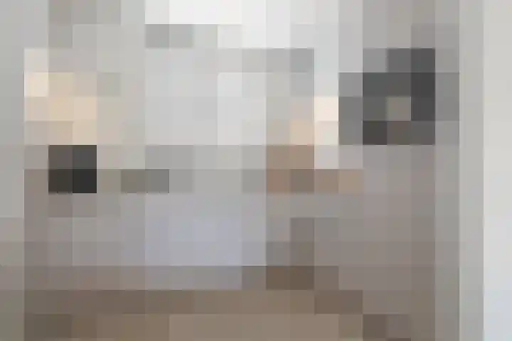 Papendel 26 Cadier en Keer thumbnail 6
