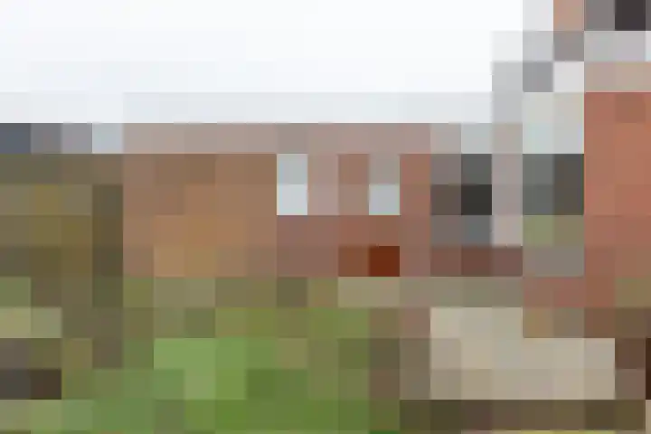 Papendijk 1 b Groenlo thumbnail 33