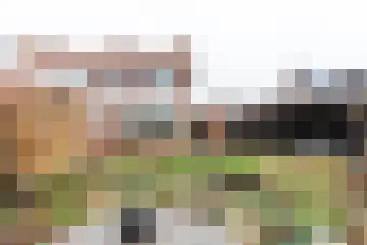 Papendijk 1 b Groenlo thumbnail 34