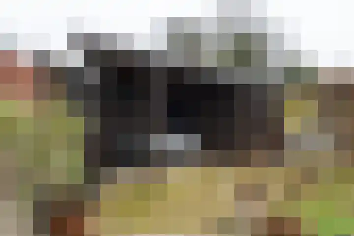 Papendijk 1 b Groenlo thumbnail 36