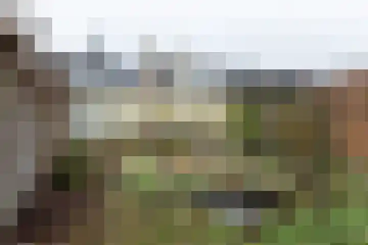 Papendijk 1 b Groenlo thumbnail 37