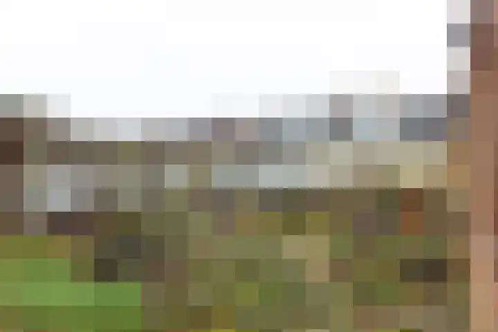 Papendijk 1 b Groenlo thumbnail 38