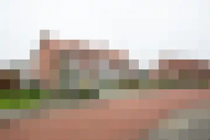 Papendijk 1 b Groenlo thumbnail 50
