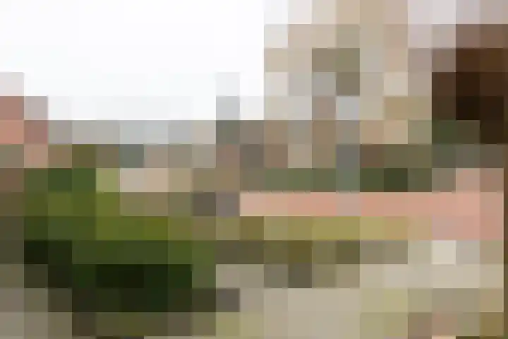 Papendijk 1 b Groenlo thumbnail 51