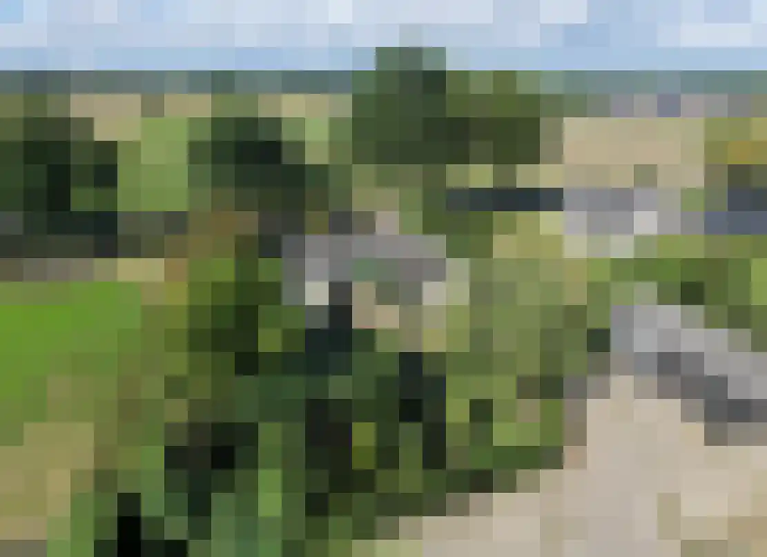Papendijk 24 A Geffen thumbnail 37