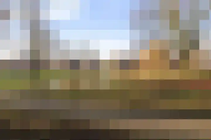 Papendijk 49 Groenlo thumbnail 41