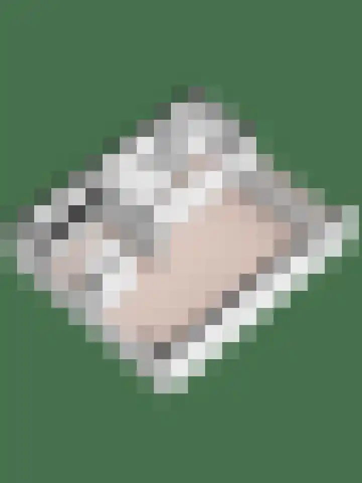 Papendijk 49 Groenlo thumbnail 43
