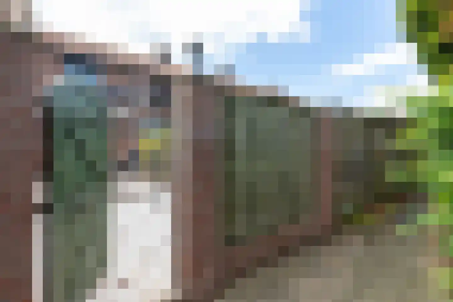Papendijk 54 Groenlo thumbnail 34