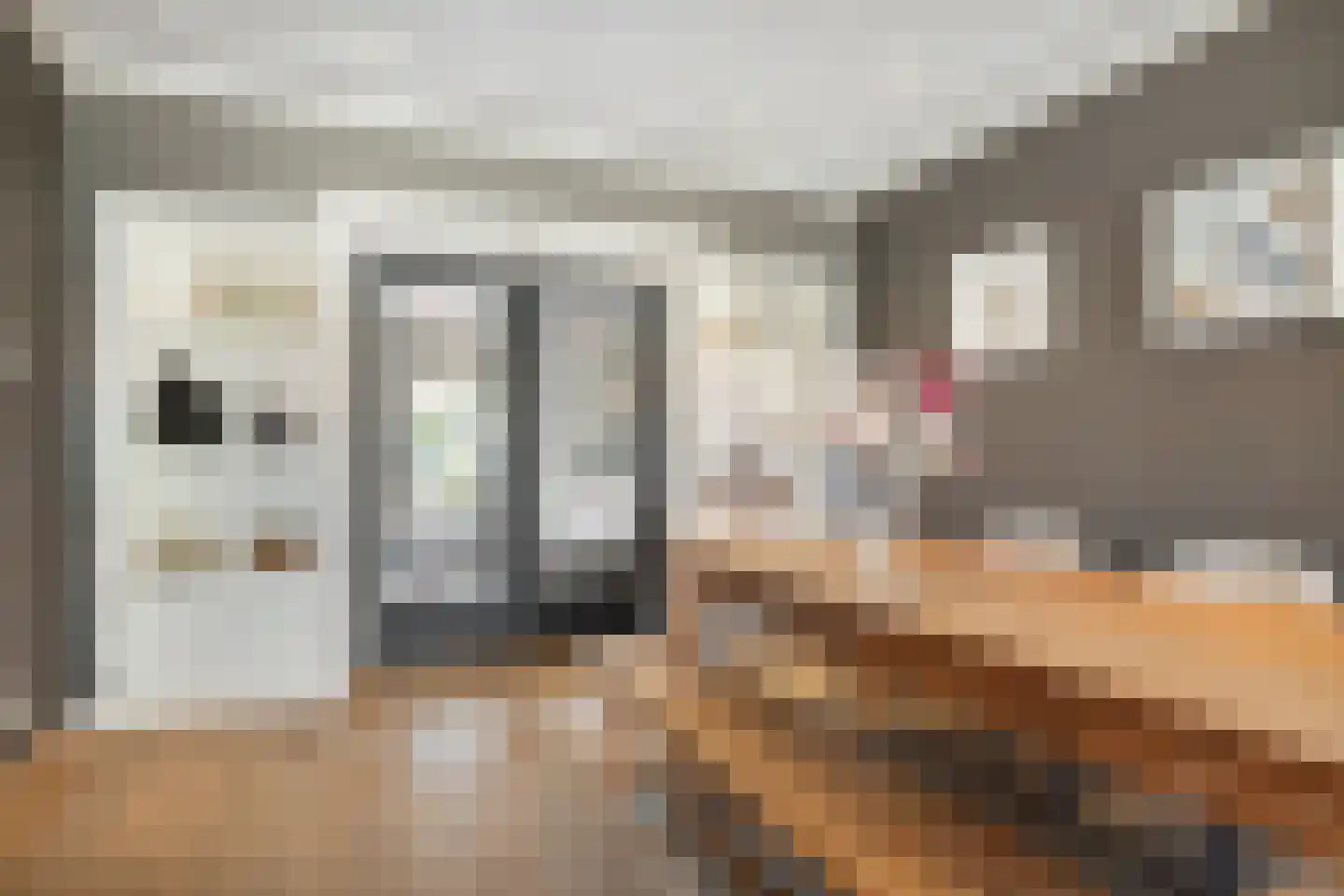 Papendijke 50 Wemeldinge thumbnail 18
