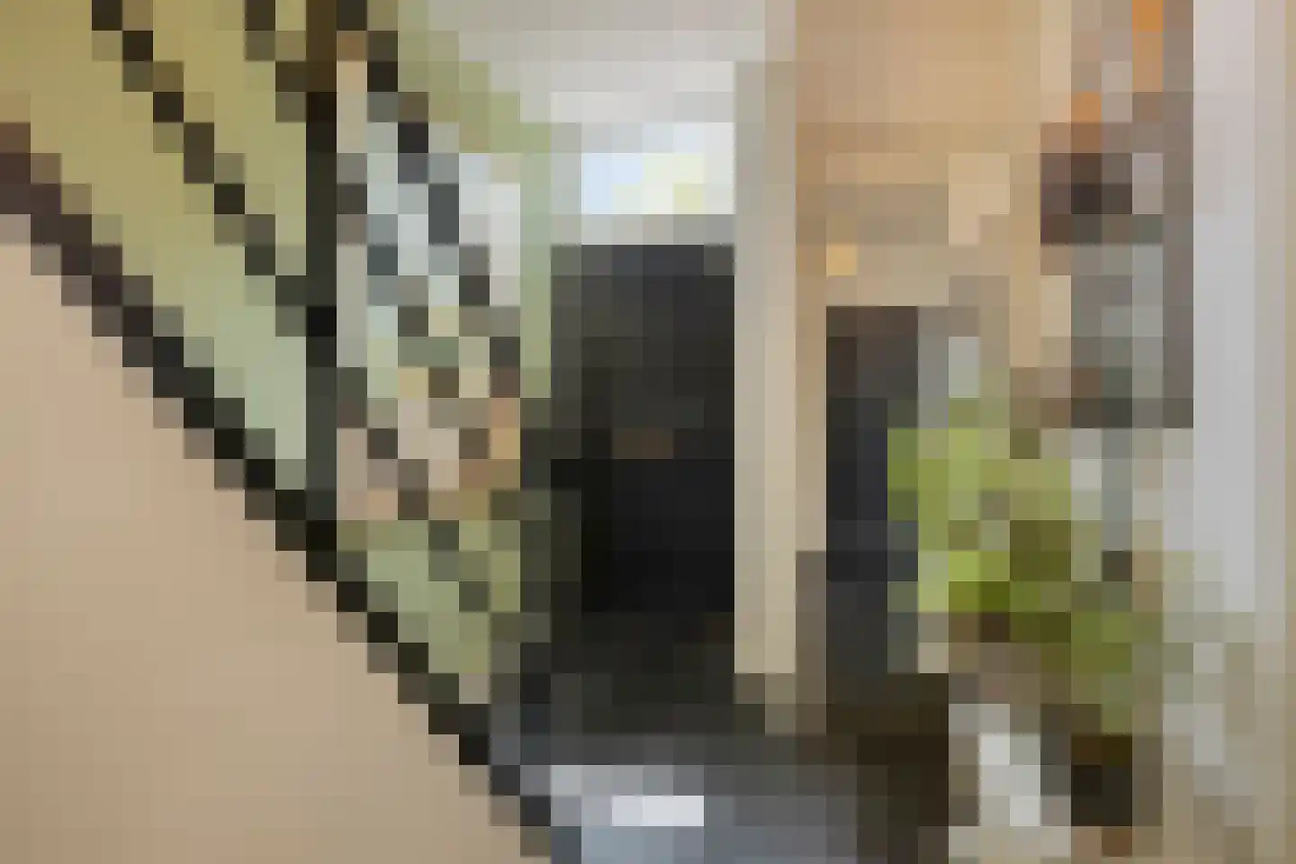 Papendijke 50 Wemeldinge thumbnail 24
