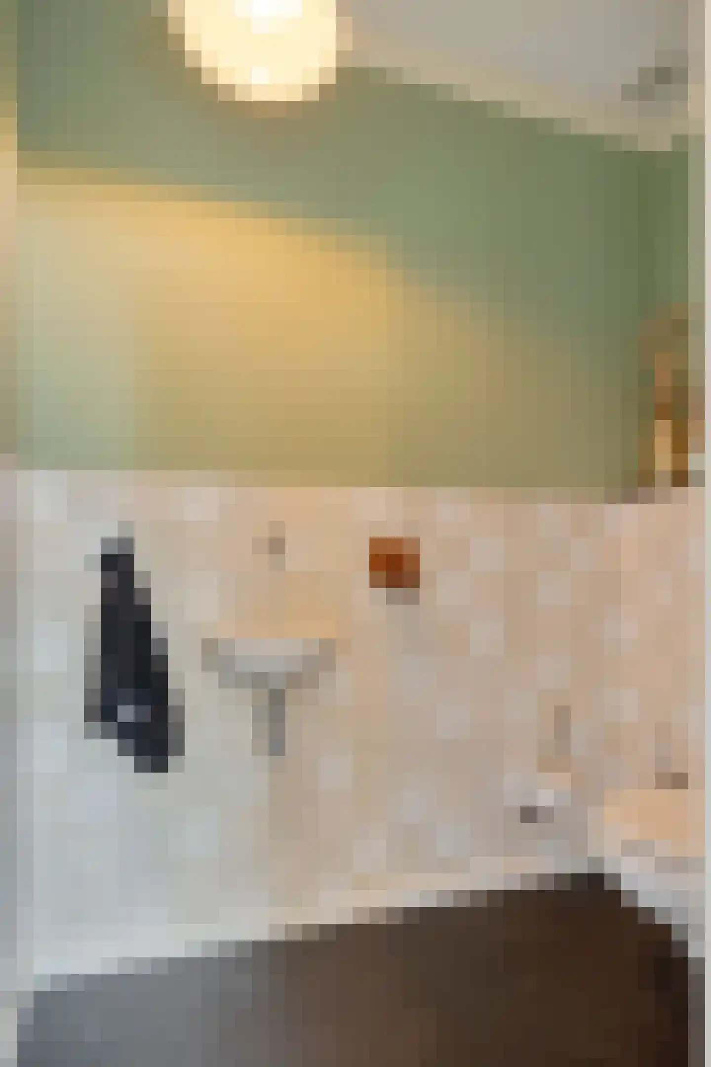 Papendijke 50 Wemeldinge thumbnail 25