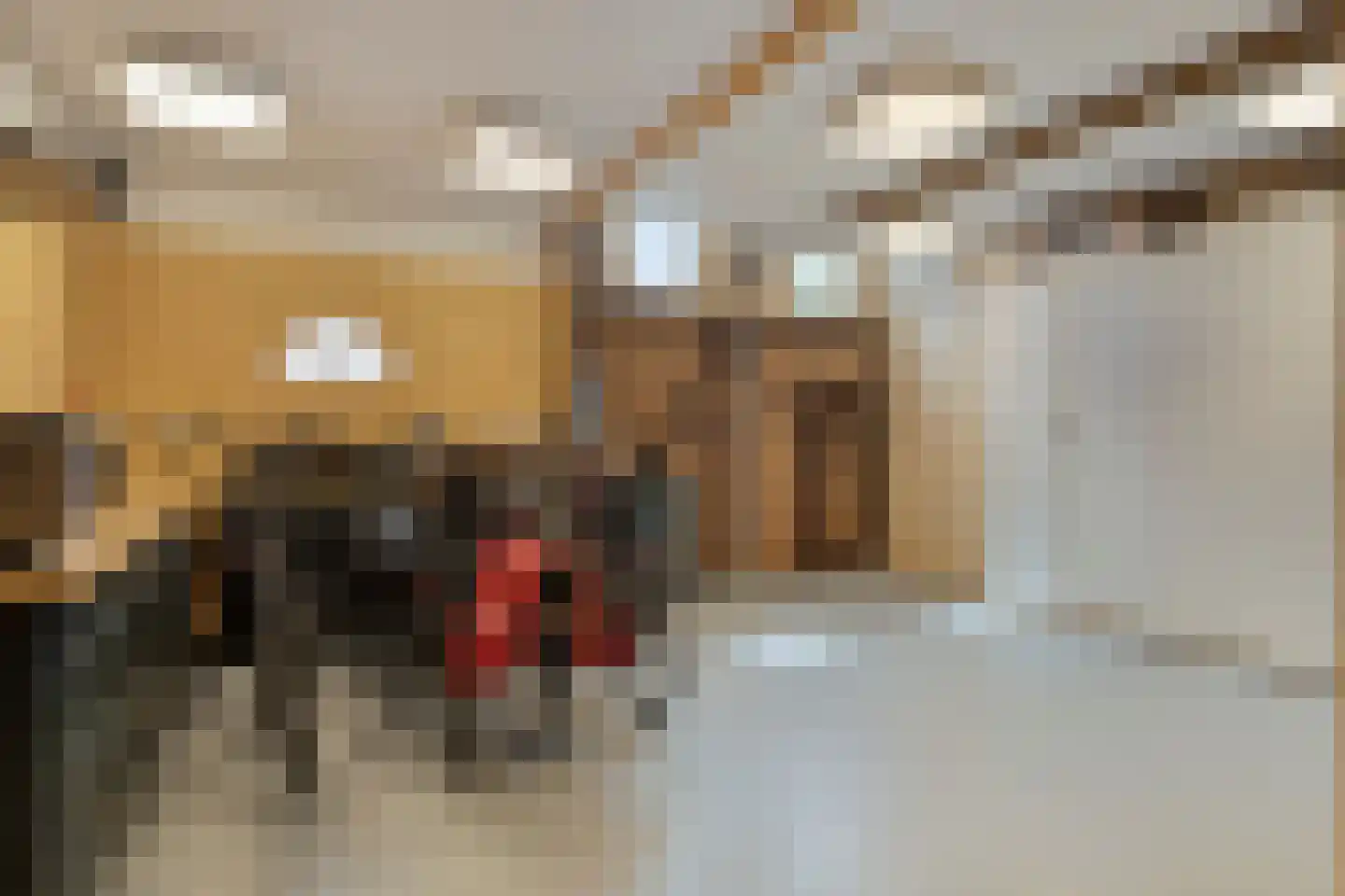 Papendijke 50 Wemeldinge thumbnail 31