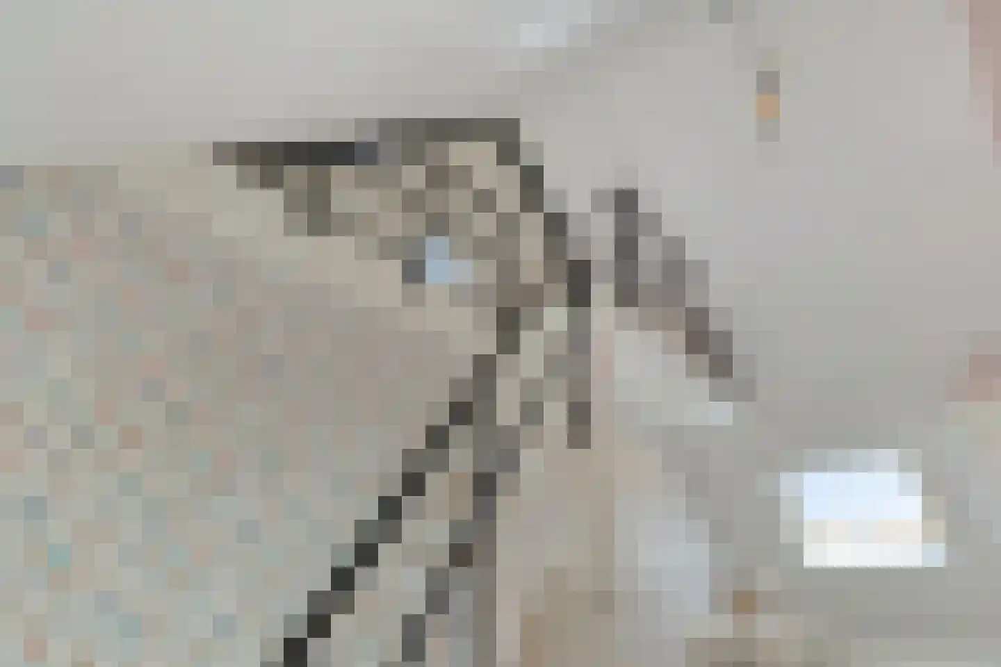 Papendijke 50 Wemeldinge thumbnail 40