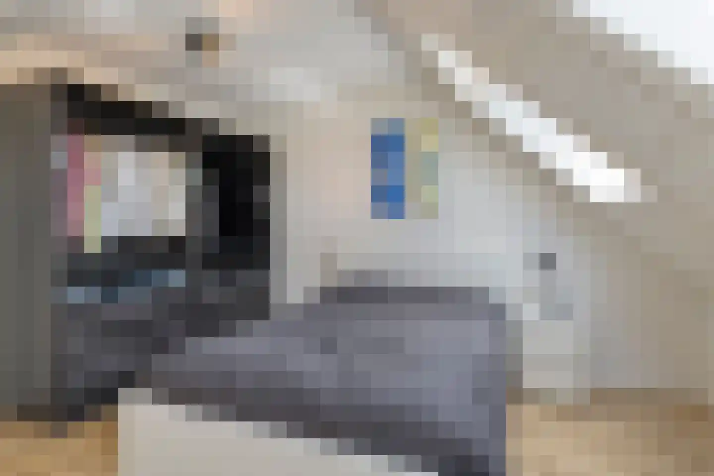 Papendijke 50 Wemeldinge thumbnail 49