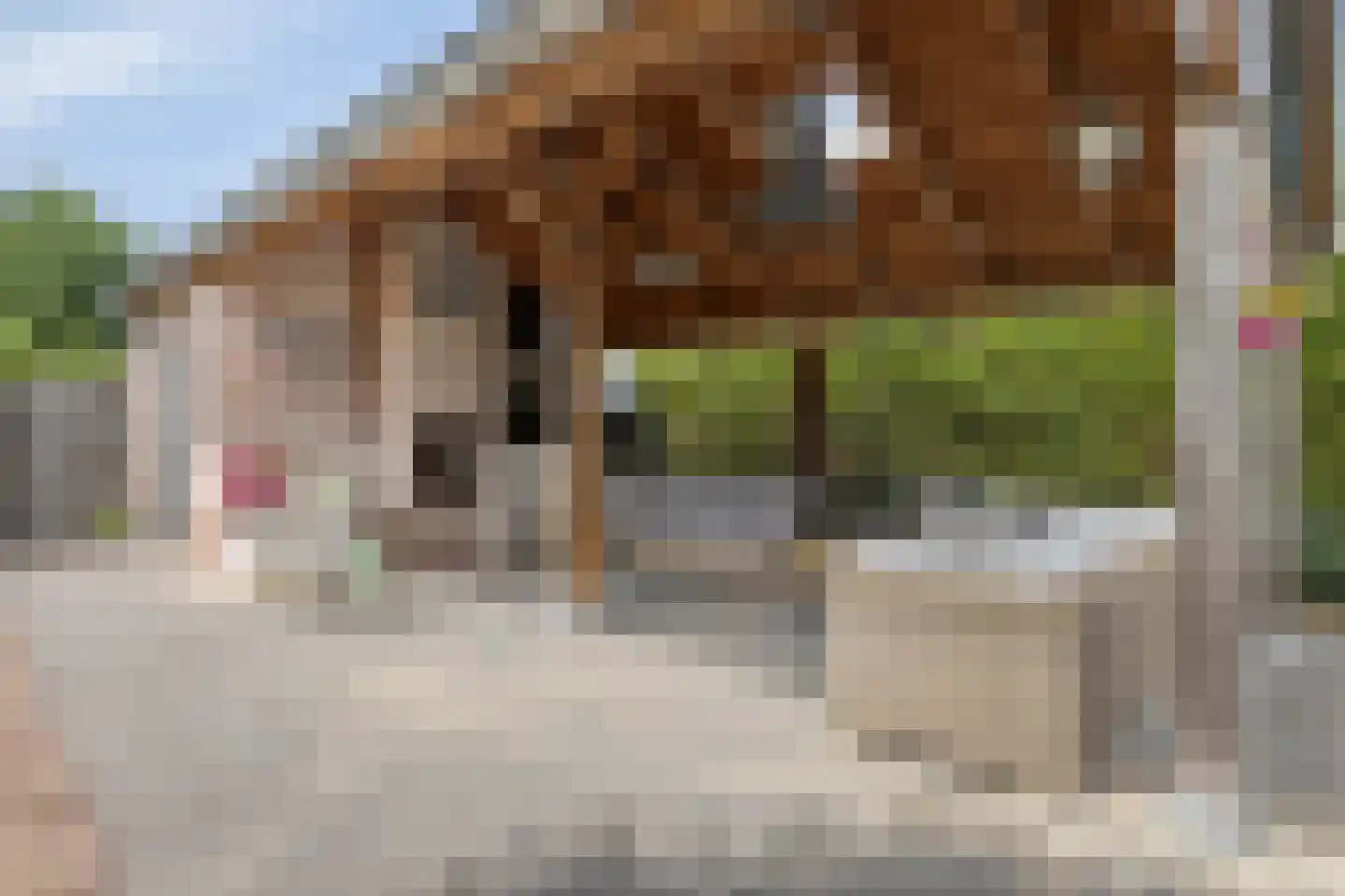 Papendijke 50 Wemeldinge thumbnail 60