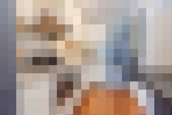 Papendonk 15 Oosterhout thumbnail 21