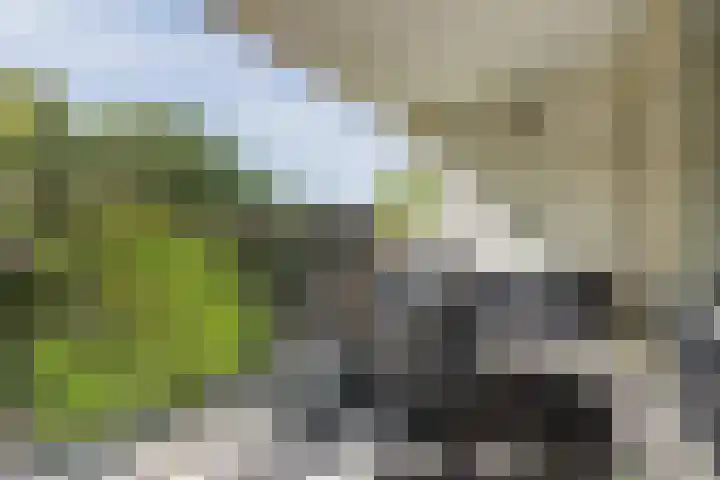Papendonk 15 Oosterhout thumbnail 31