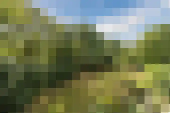 Papendonk 15 Oosterhout thumbnail 32
