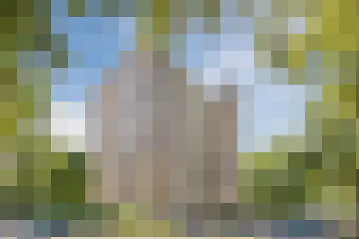 Papendonk 15 Oosterhout thumbnail 33