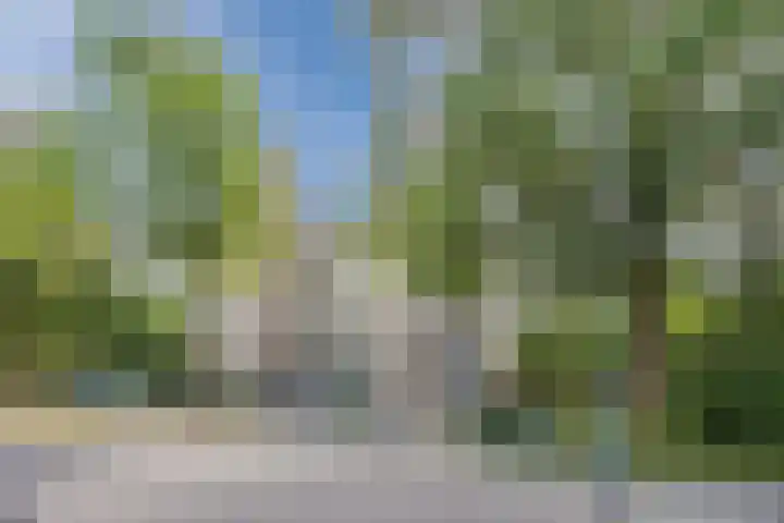 Papendonk 15 Oosterhout thumbnail 4