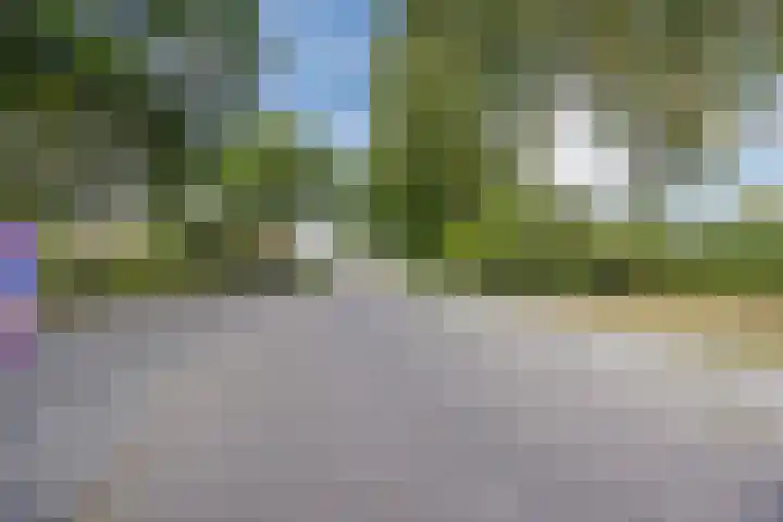 Papendonk 15 Oosterhout thumbnail 40