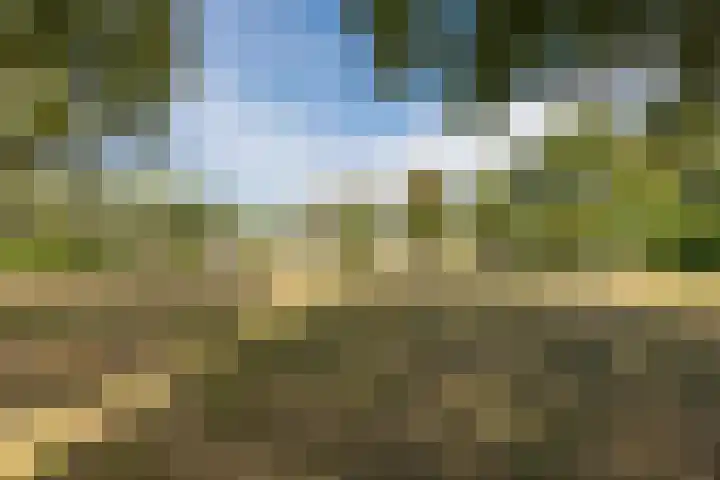 Papendonk 15 Oosterhout thumbnail 41