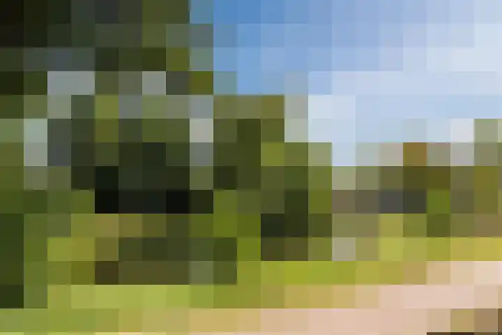 Papendonk 15 Oosterhout thumbnail 42