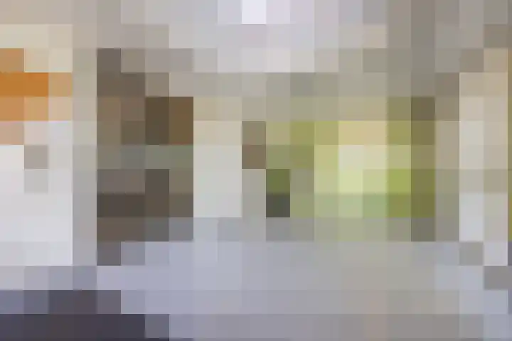 Papendonk 15 Oosterhout thumbnail 6