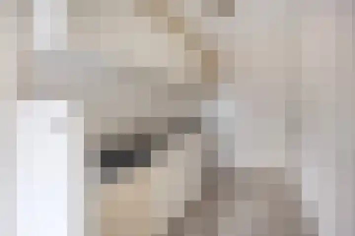 Papendonk 22 Oosterhout thumbnail 11