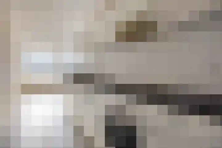 Papendonk 22 Oosterhout thumbnail 12