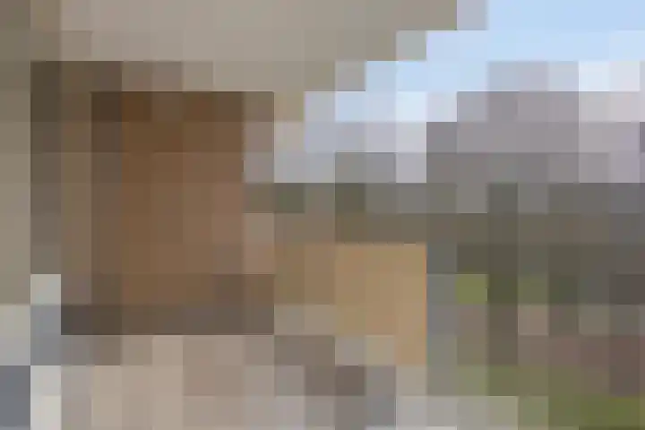 Papendonk 22 Oosterhout thumbnail 14