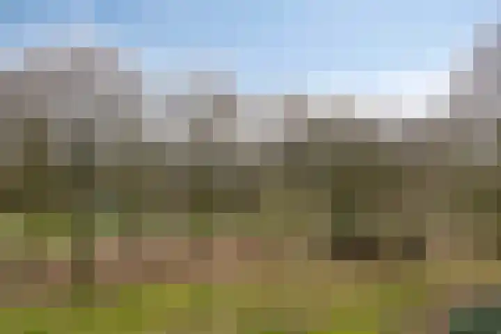 Papendonk 22 Oosterhout thumbnail 15