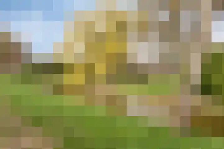 Papendonk 22 Oosterhout thumbnail 19