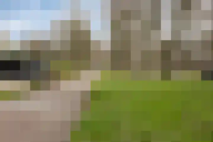 Papendonk 22 Oosterhout thumbnail 20