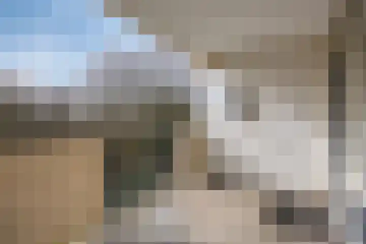 Papendonk 22 Oosterhout thumbnail 4