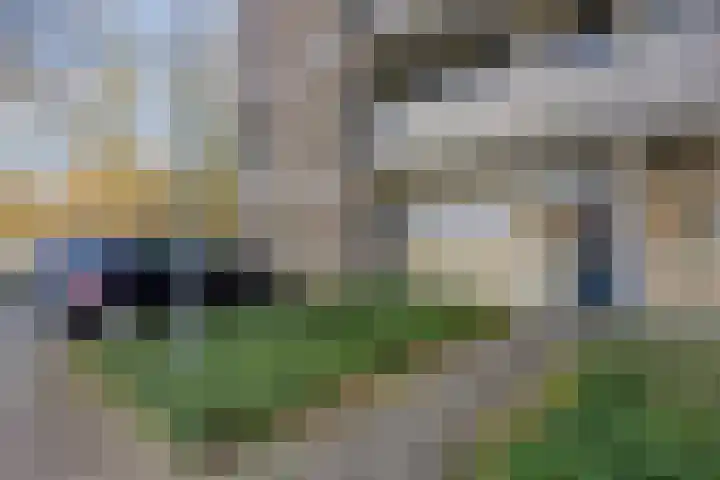 Papendonk 3 Oosterhout thumbnail 18